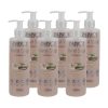 JANITORIAL HAND SOAP VANILLA 250ML BOX OF 6
