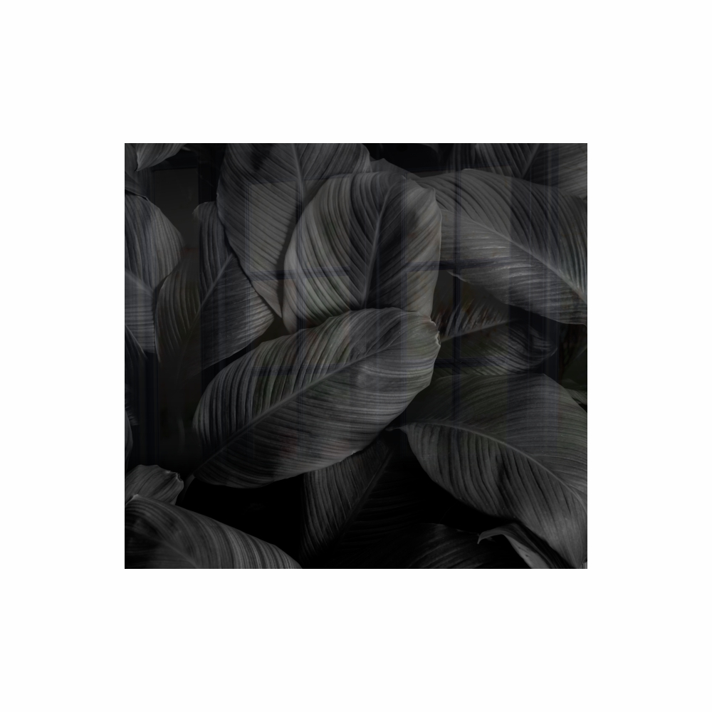 Decorative Glass Wall Tile (598 X 650 X 6mm) Spices