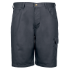 Rogue Shorts
