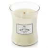Woodwick Fig Leaf & Tuberose Medium Jar Retail Box No