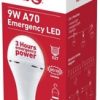 Ellies E27 9W A60 FLEM9WE27W Rechargeable Bulb