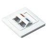 NetiX Angled Face Plate Dual Port with Shuttle