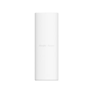 Reyee Dual Band WiFi 6 3000Mbps Gigabit Outdoor AP