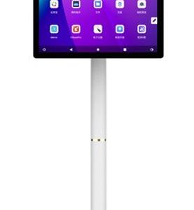 ANDROID AIO WITH CHARGING STAND