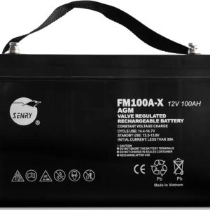 RCT SENRY 6FM100A-X FULLY-SEAL LEAD ACID