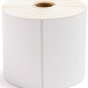 COATED PAPER LABEL 100*100 FOR G4