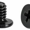 SCREW FOR M.2 NVME SSD (100S)