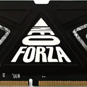 16GB 3000MHZ WITH HEATSINK
