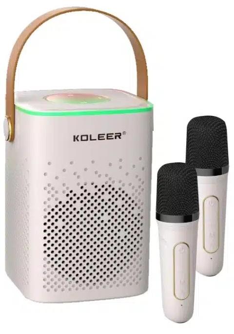 BLUE TOOTH SPEAKER