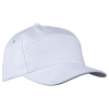 6 Panel Carbon Cap